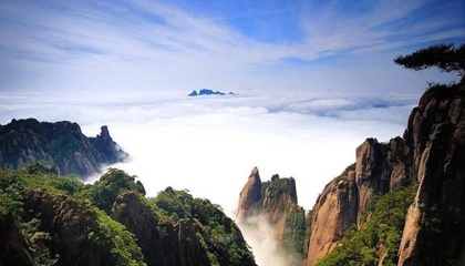 三清山: 松筠不鎖神仙境, 看遍漫山杜鵑紅