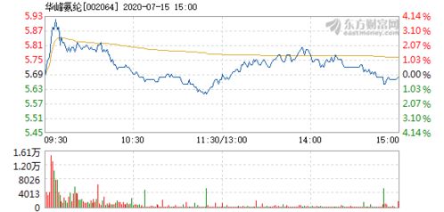 華峰氨綸7月15日快速上漲 分析其市場表現與前景