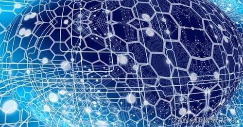 網(wǎng)頁抓取與網(wǎng)頁爬取的區(qū)別及其在自然科學研究與試驗發(fā)展中的作用